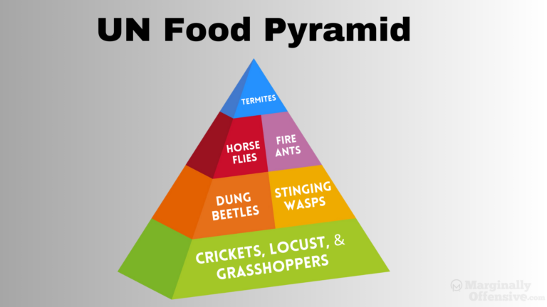 Every Category of United Nation’s New Food Pyramid Now Insects
